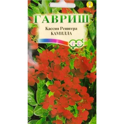 Кассия Ренигера Камилла (Код: 12490)