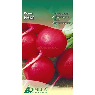 Редис Илке, 2г (цв.)