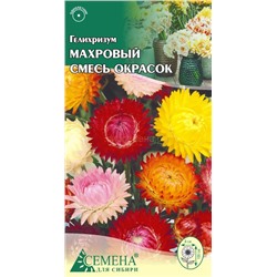 Гелихризум махровый смесь, 0,3г (цв.)