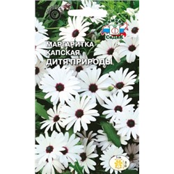 Цв.Маргаритка Дитя природы (Седек) 0,1