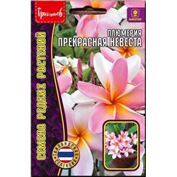 Плюмерия Прекрасная невеста (Редкие)