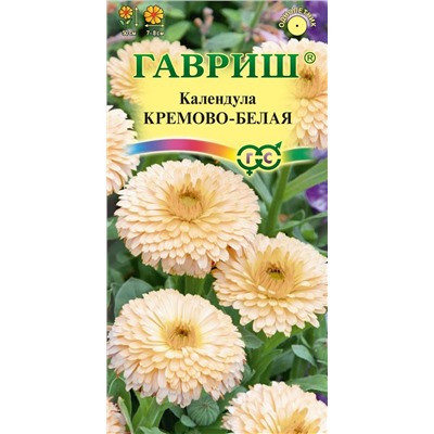 Календула кремово-белая (Гавр)