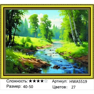 AM45 HWA5519, 40х50 см