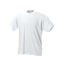 Футболка детская Regent Kids 150, белая