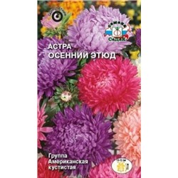Цв.Астра Смесь Осенний этюд (Седек) 0,2г