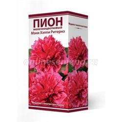 Пион Мэни Хэппи Ритернз трав.1шт (Поиск)