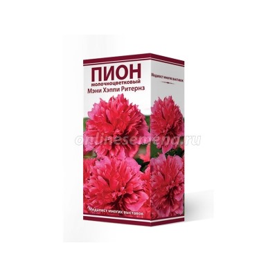 Пион Мэни Хэппи Ритернз трав.1шт (Поиск)