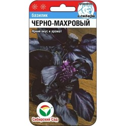 Базилик Черно-махровый (Сиб.Сад) 0,5г