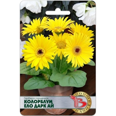 Цв.Гербера Колорблум Ело Дарк Ай (Био) 5шт