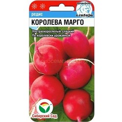Редис Королева Марго (Сиб сад)