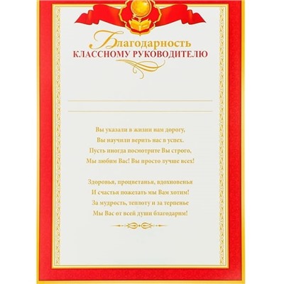 Благодарность «Классному руководителю» красная рамка