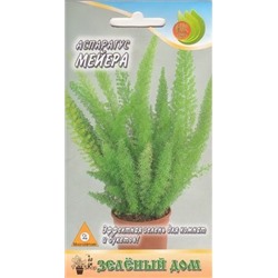 Цв.Аспарагус Мейери (Поиск) 3шт