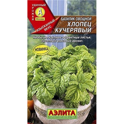 Базилик Хлопец кучерявый (Аэлита) 0,3г