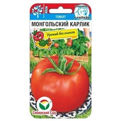 Томат Монгольский карлик (Сиб сад)