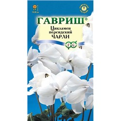 Цикламен Чарли (Гавр)