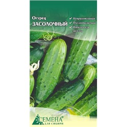 Огурец Засолочный, 0,3г (цв.)