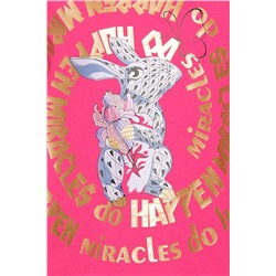 Толстовка PELICAN #685611