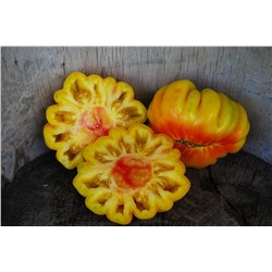Флорентийская красавица