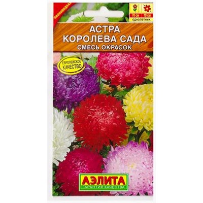 Астра Королева сада смесь (Код: 79837)