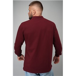 Мужской базовый лонгслив-поло Happyfox