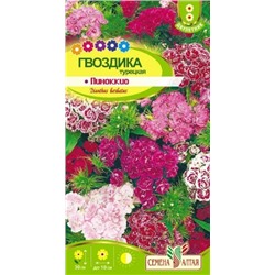 Цв.Гвоздика Турецкая Пиноккио смесь (Сем.Алтая) 0,1гр