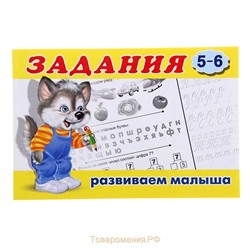 Развивающие задания. Задания 6 (5-6лет) 16 ч/б стр. 21*14см (выпис.по 2шт.) 19808