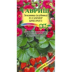 Земляника Саммер Бриз Роуз F1 (Гавриш) 4шт