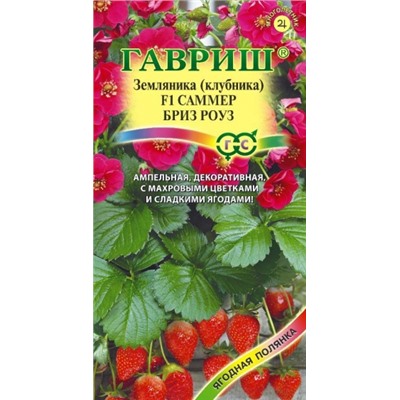 Земляника Саммер Бриз Роуз F1 (Гавриш) 4шт