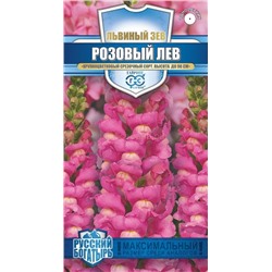 Львиный зев Розовый лев (Гавр)