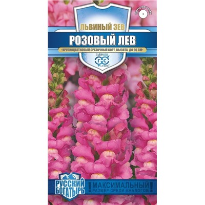 Львиный зев Розовый лев (Гавр)