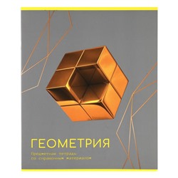 Тетрадь Предмет клетка  ГЕОМЕТРИЯ 48 л /ЗОЛОТО ЗНАНИЙ Проф-Пресс 48-9487