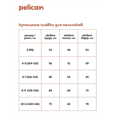 BSLB3354 (Трусы для мальчика купальные, Pelican Outlet )