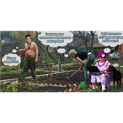 СП Дачный сезон