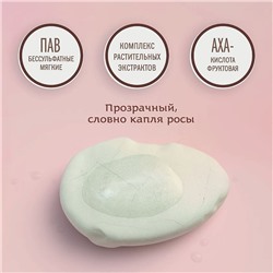 Ayurvedic Shampoo NEEM & SHIKAKAI, Indibird (Аюрведический шампунь НИМ И ШИКАКАЙ С ПРОТЕИНАМИ СОИ, для жирных и комбинированных волос, Индибёрд), 250 мл.