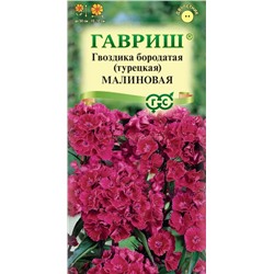 Гвоздика турецкая малиновая (Гавр)
