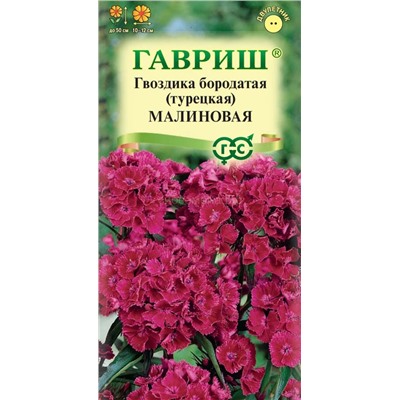 Гвоздика турецкая малиновая (Гавр)