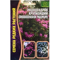 Рододендрон Крупнейший (Редкие)