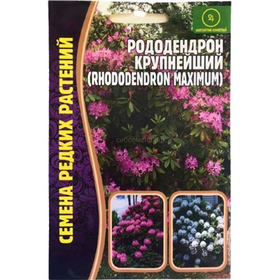 Рододендрон Крупнейший (Редкие)