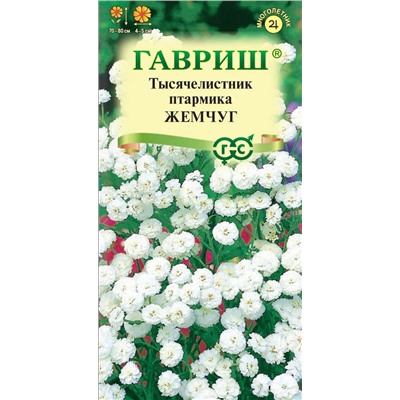 Тысячелистник Жемчуг белый (Гавр)