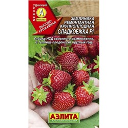 Земляника  Сладкоежка ремонтантная (Аэлита)
