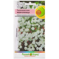 Тысячелистник Жемчужница (Код: 3346)