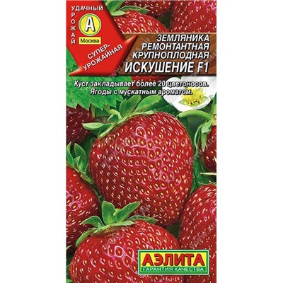 Земляника  Искушение F1 ремонтантная (Аэлита)