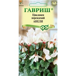 Цикламен Анели (Гавр)