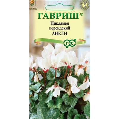 Цикламен Анели (Гавр)