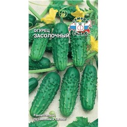 Огурец Засолочный (Седек)