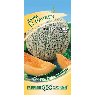 Дыня Ирокез (Гавр)