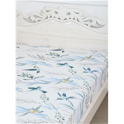 Простыня бязь - Колибри
