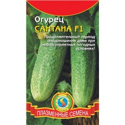 Огурец Сантана F1 (Плазма) 10шт