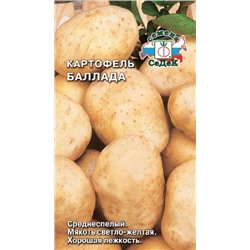 Картофель  Баллада  (седек)