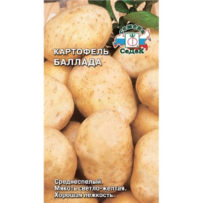 Картофель  Баллада  (седек)
